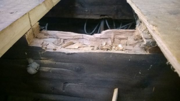 How to Identify Wet Rot