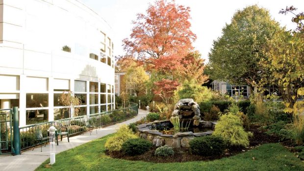 Why Your Hospital Needs a Garden, Stat!