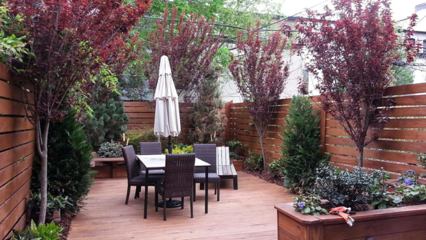 Learn landscape design ideas from experts.