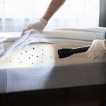 Professional Bed Bug Exterminator