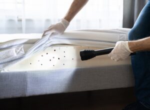 Professional Bed Bug Exterminator