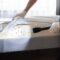Professional Bed Bug Exterminator