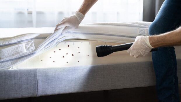 4 Reasons Why Use A Professional Bed Bug Exterminator
