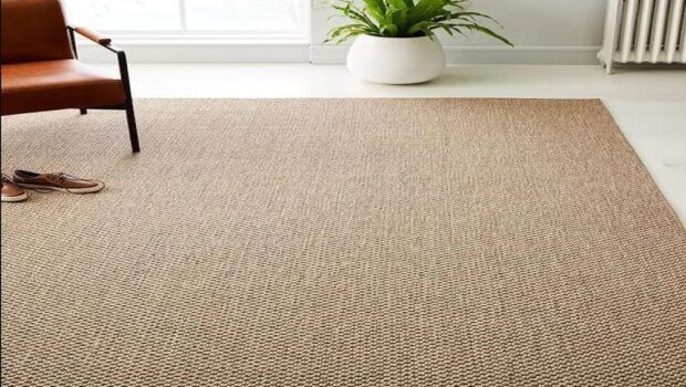 Are sisal rugs an outclass option for the interior lovers why