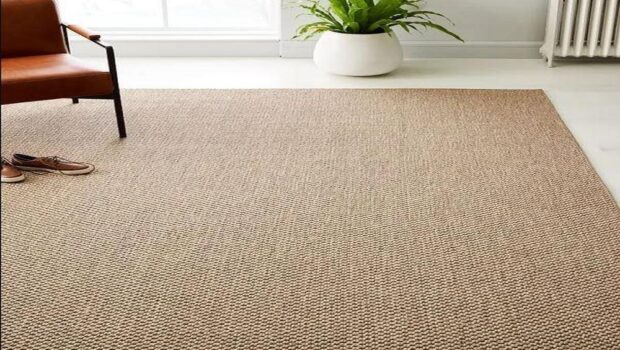 Are sisal rugs an outclass option for the interior lovers? why?