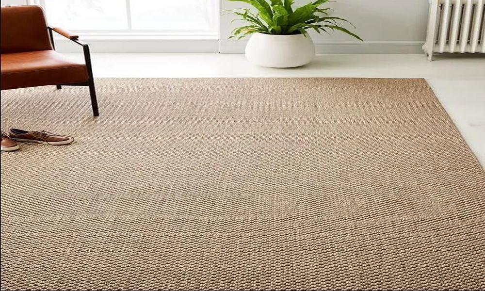 Are sisal rugs an outclass option for the interior lovers why