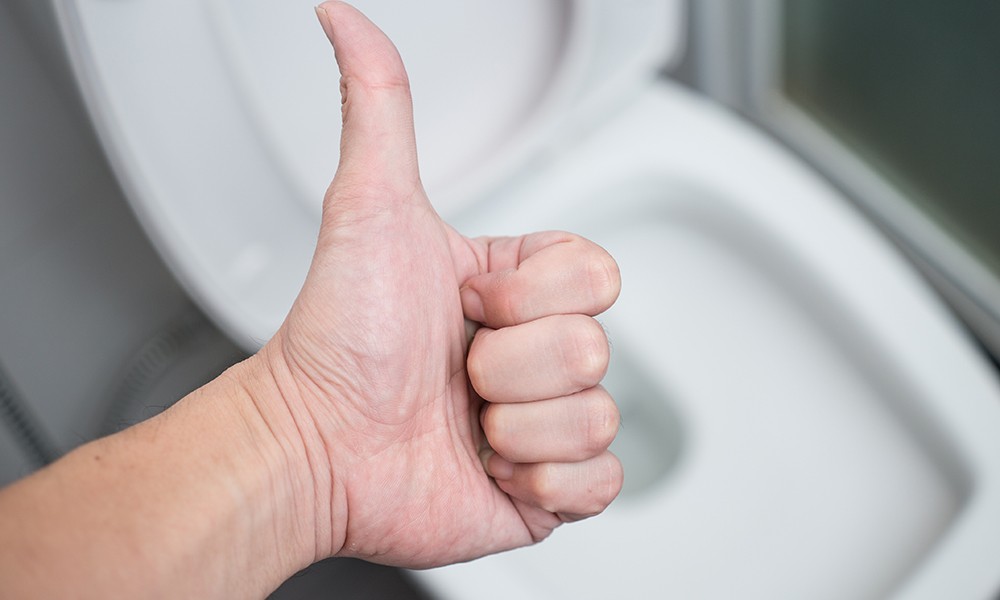 How to Fix a Toilet Issue