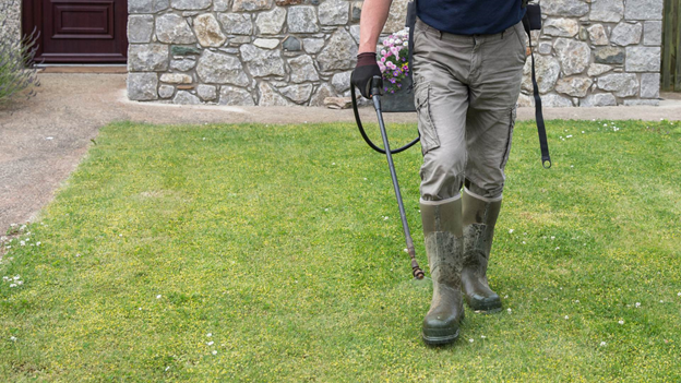 Why DIY Weed Removal Isn’t Enough: Benefits of Professional Services