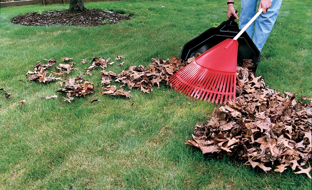 Cleaning Landscape: Kindergartens vs. High Schools