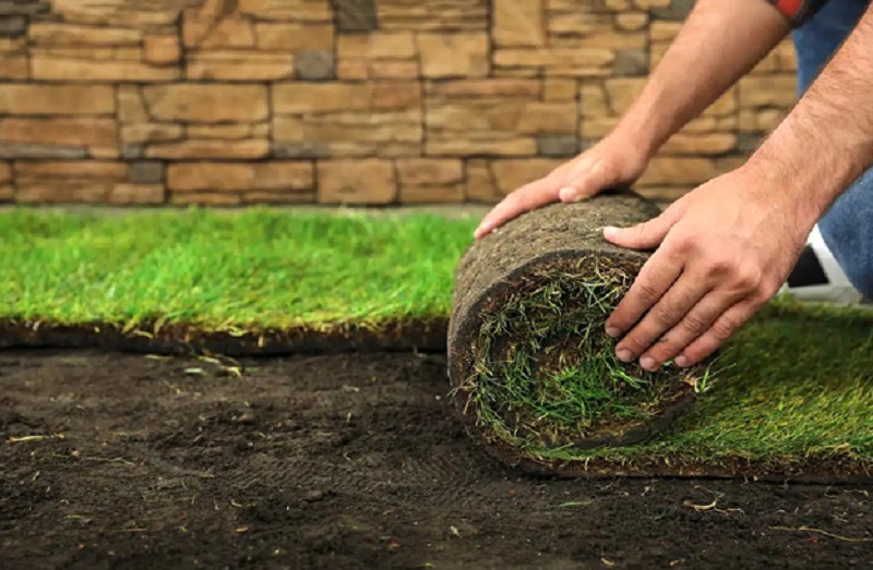 Lush Turf Solutions: Your Eventual Manual to the Lawn Turf Calculator